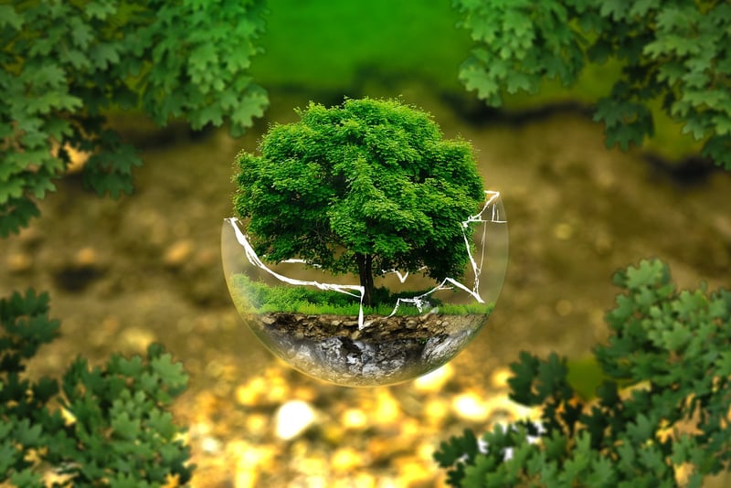 Yggdrasil